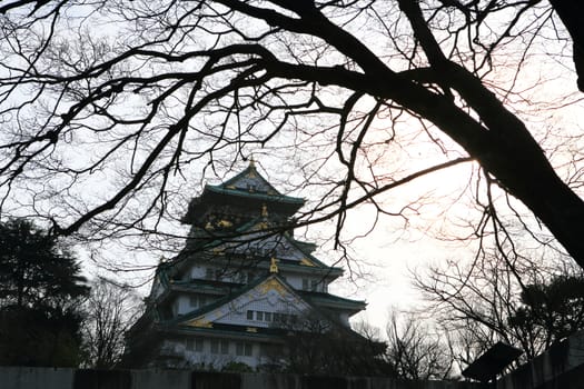 Osaka Castle in Osaka, Japan(winter season)