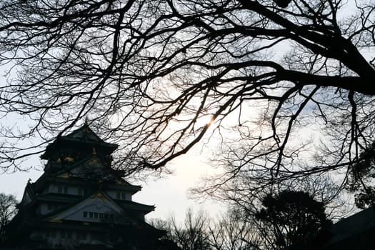 Osaka Castle in Osaka, Japan(winter season)
