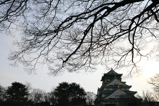 Osaka Castle in Osaka, Japan(winter season)