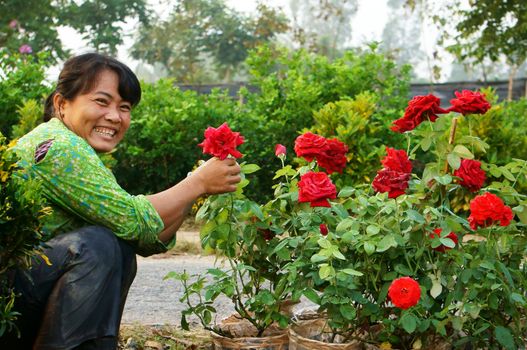 SA DEC, VIET NAM, ASIA  - JANUARY 26. Happiness of asia Farmer in springtime, success harvest with beautiful flowerpot for Vietnam Tet ( lunar New Year) in Sadec, Vietnam, Asia. January 26, 2013