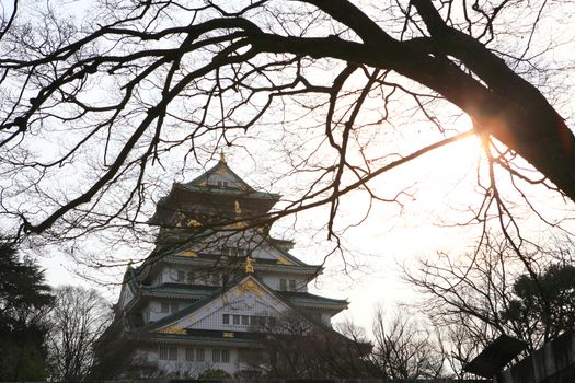 Osaka Castle in Osaka, Japan(winter season)