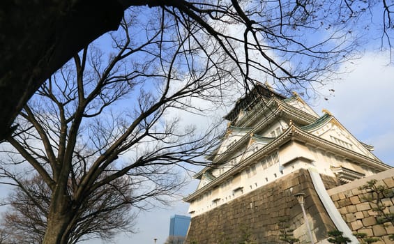 Osaka Castle in Osaka, Japan(winter season)