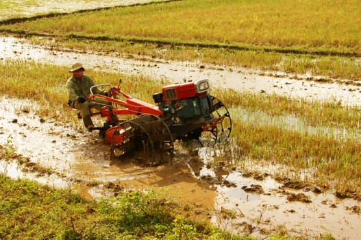 DAKLAK, VIET NAM- SEPTEMBER 5: Farmer driving farm tractor to ploughing on rice field in Daklak, Viet Nam, September 5, 2012                 