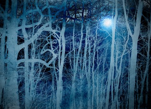 blue scary forest in the night with moonlight illustration