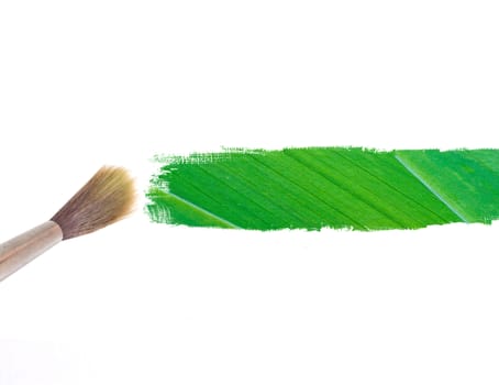 paintbrush and green leave stripe