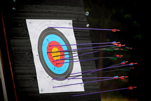 Archery target with arrow 