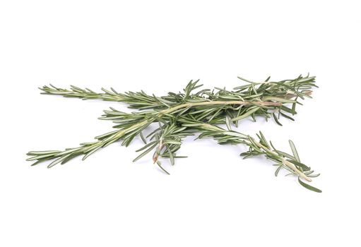 Rosemary brunches. Isolated on a white background.