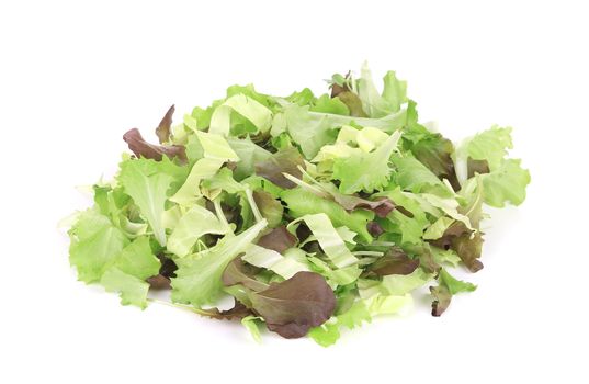 Mix salad. Isolated on a white background.