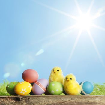 Easter eggs and chickens on green grass and sky background