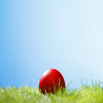 Decorated easter egg in spring grass