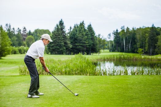 Mature Golfer on a Golf Course (ready to swing)