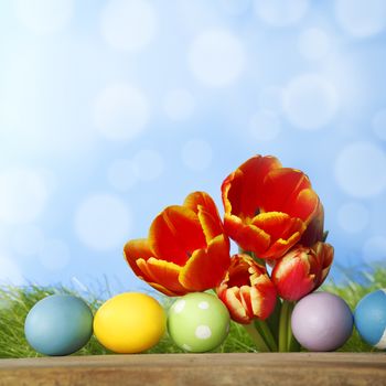 Tulips and easter eggs over green grass and blue sky background