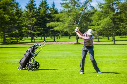 Mature Golfer on a Golf Course Taking a Swing in the Fairway