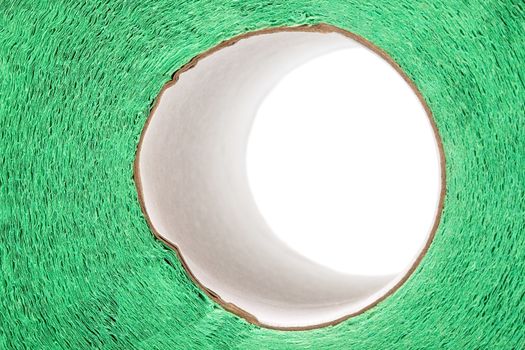 roll of toilet paper green close up