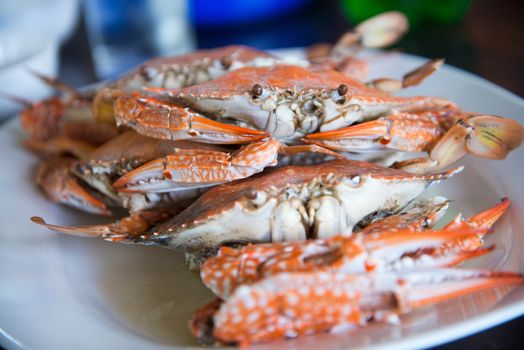 Close-up steamed blue crabs