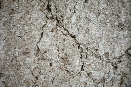 wall background, texture on the street