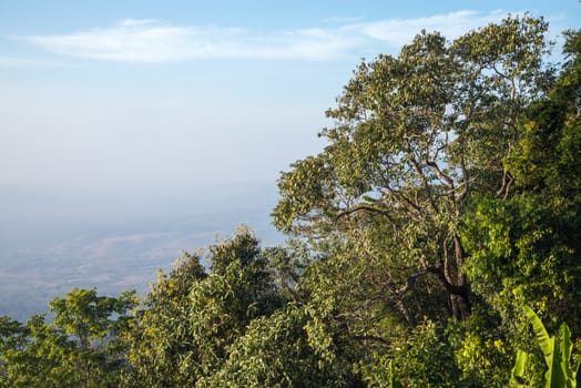 Landscape of mountain view at Phuthapboek Khoo kho , Phetchabun Thailand