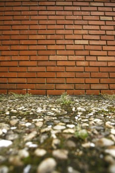 brick wall texture