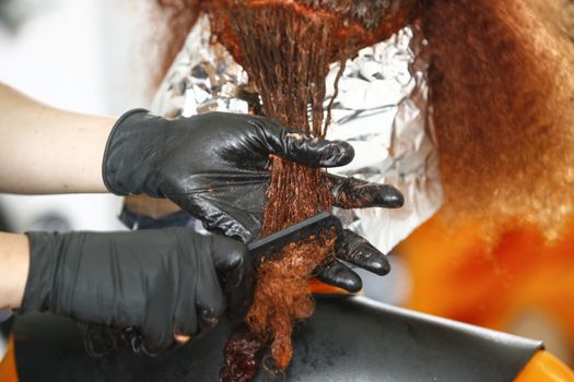 Close-up of the head of a woman in the process of getting her hair dyed by her beautician