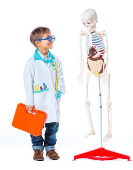 A little smiling doctor with stethoscope and skeleton. Isolated on white background