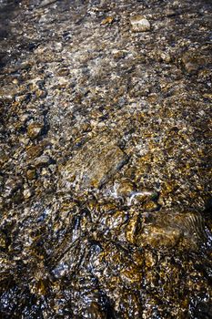 Clean clear water flowing over smooth brown rocks
