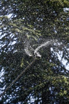 Detail of a working lawn sprinkler head watering