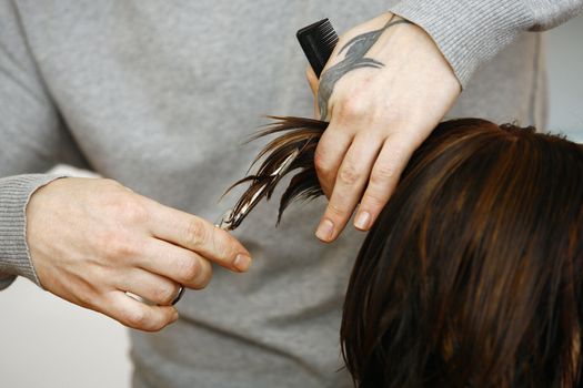 Hairdresser cutting hair in hairdresser salon