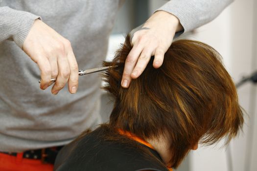 Hairdresser cutting hair in hairdresser salon