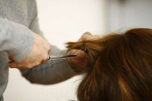 Hairdresser cutting hair in hairdresser salon