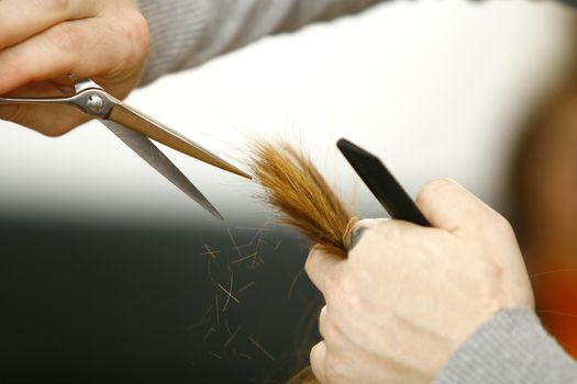 Hairdresser cutting hair in hairdresser salon