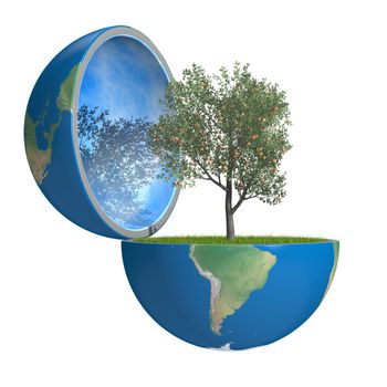 Fruit tree growing inside opened planet Earth, isolated on white background, concept of ecology or bio agriculture. Elements of this image furnished by NASA