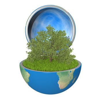 Oak tree growing inside opened planet Earth, isolated on white background, concept of ecology. Elements of this image furnished by NASA