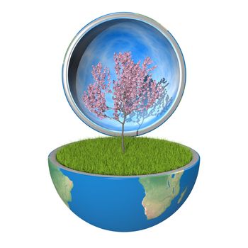 Flowering tree growing inside opened planet Earth, isolated on white background, concept of ecology, symbol of new life. Elements of this image furnished by NASA