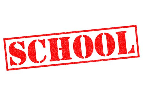 SCHOOL red Rubber Stamp over a white background.