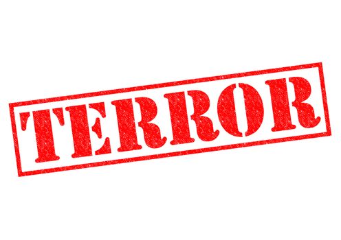 TERROR red Rubber Stamp over a white background.