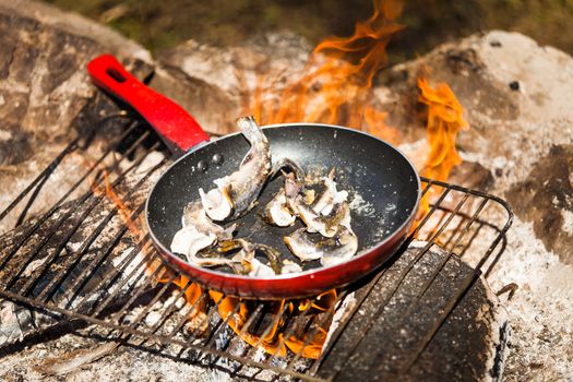 Small Trouts Cooking in the Pan on a Campfire