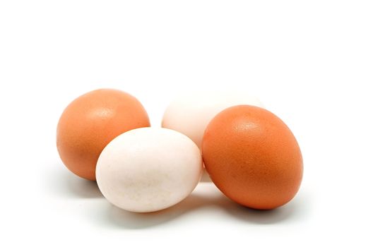 Brown chicken and white duck egg isolated on a white background