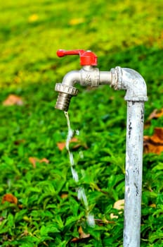 faucet with red handles in garden