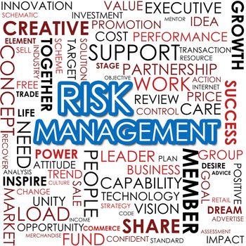 Risk management word cloud image with hi-res rendered artwork that could be used for any graphic design.