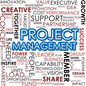 Project management word cloud image with hi-res rendered artwork that could be used for any graphic design.
