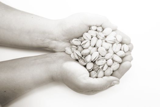 pistachios in the hands of