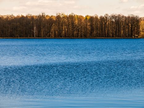 Water and trees in autumn time