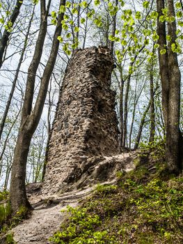 Hamrstejn ruin near Liberec (Czech Republic)