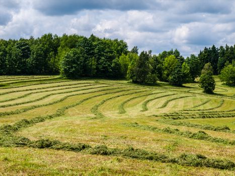 Mowed spring field (Czech Republic)