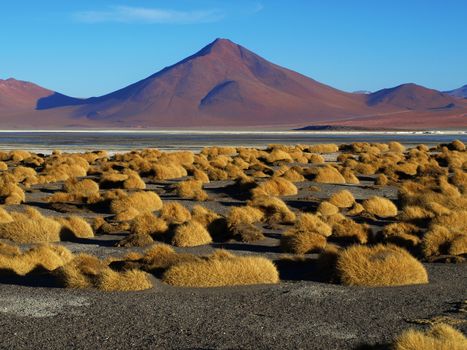 Landscape at Laguna Colorada (Bolivia)