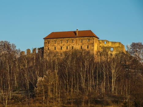 Pecka castle in eastern Bohemia (Czech Republic) Pecka castle
