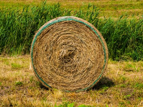 Straw package