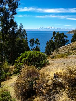 View of Titicaca lake from Island of the Sun (Bolivia)