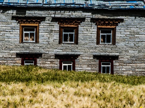 Tibetan house in Yading (Sichuan, China)