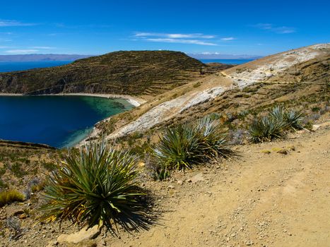 View of Titicaca lake from Island of the Sun (Bolivia)